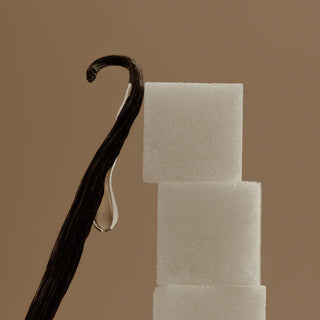 Vanilla bean and sugar cubes on plain beige backgorund